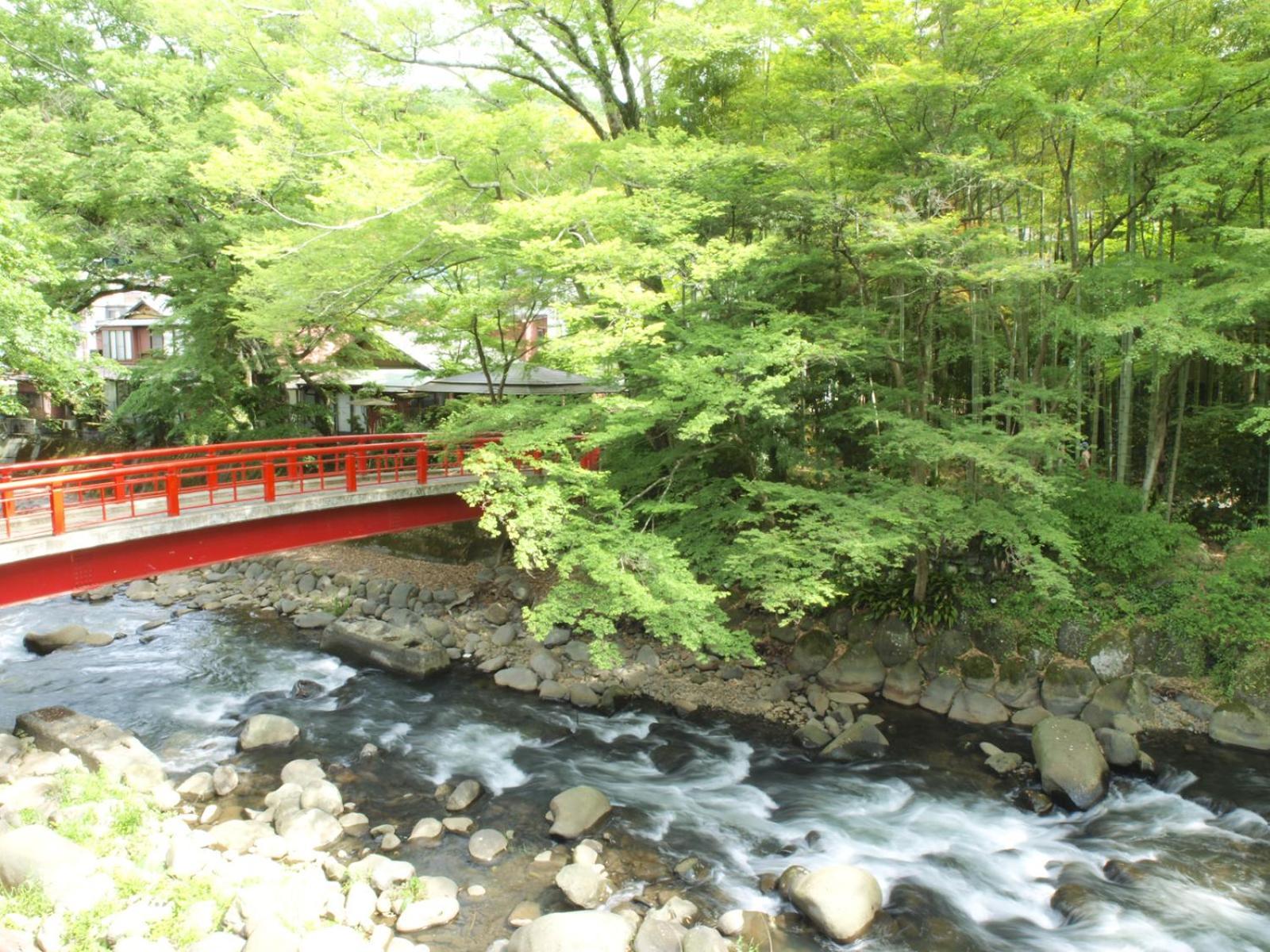 Arai Ryokan Hotell Shizuoka Eksteriør bilde